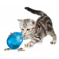 Funkitty Egg-Cersize - godisleksak