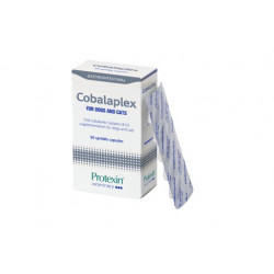 Protexin Cobalaplex 60 st strökapslar oral vitamin B 12