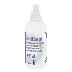 Antisept sårspray 