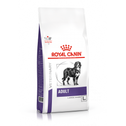 Royal Canin Adult Large Dog