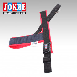 Hundsele Jokke Saana Large