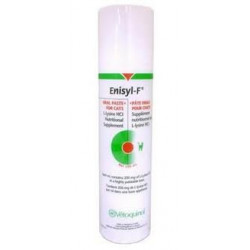 Enisyl F L-lysin pasta 100 ml