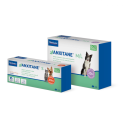 Anxitane Lugnande...