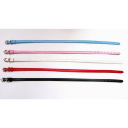 Personalize halsband för katt & liten hund