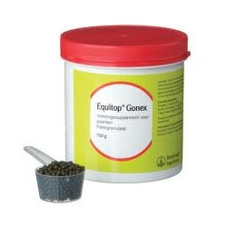 Equtop Gonex 