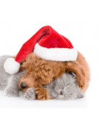 Julklappstips