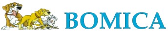 Bomica
