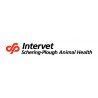 Intervet